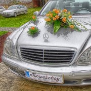 fotoreportaż: samochód ślubny z napisem nowożeńcy