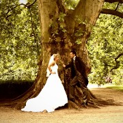 fotografia ślubna: państwo młodzi pod drzewem